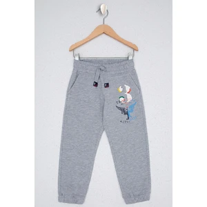 U.S. Polo Assn. Erkek Çocuk Gri Örme Pantolon 50238336-VR086