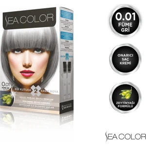 SEA COLOR 0.01  Füme Gri Set Boya