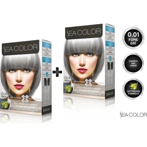 SEA COLOR 0.01  Füme Gri 2'li Set Boya