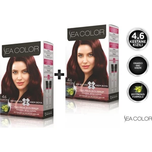 SEA COLOR 4.6  Kestane Kızılı 2'li Set Boya