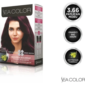 SEA COLOR 3.66  Patlıcan Moru Set Boya