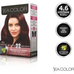 SEA COLOR 4.6  Kestane Kızılı Set Boya