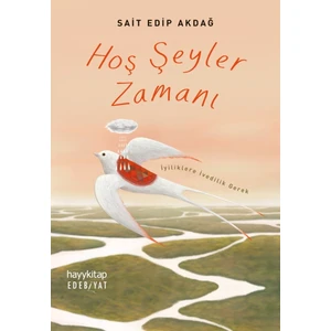 Hoş Şeyler Zamanı - Sait Edip Akdağ