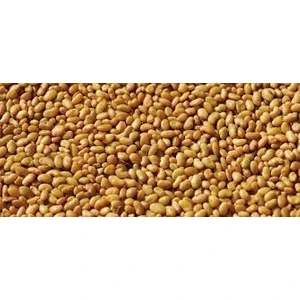 Dökme Yonca Tohumu 1 kg