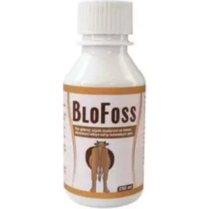 Blofoss  Şurup 100ML