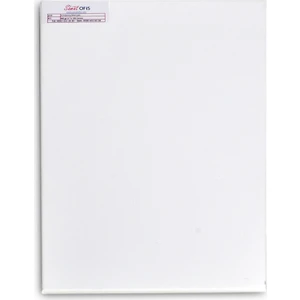 Profesyonel Tuval Paketi  3'lü  60 x 80 cm