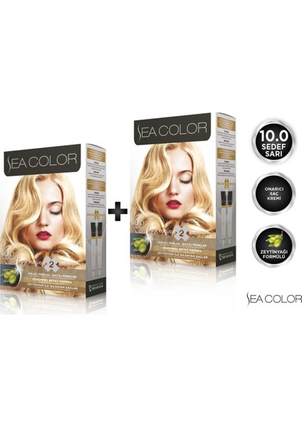 10.0 Sedef Sarı 2'li Set Boya