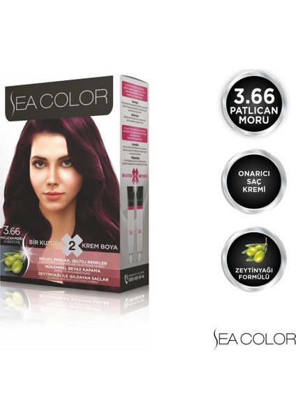 SEA COLOR 3.66  Patlıcan Moru Set Boya