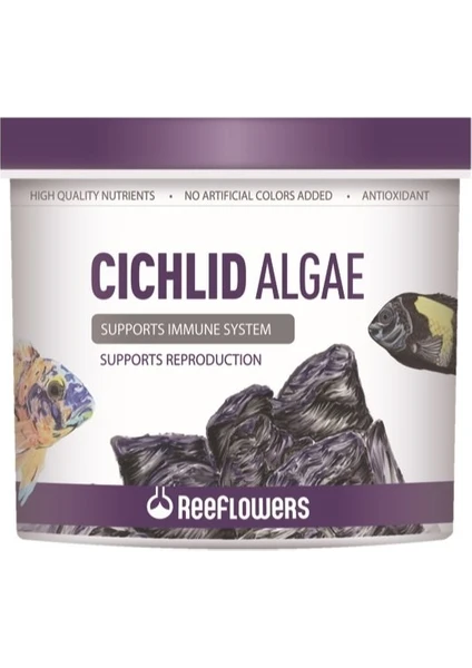 Reeflowers Cichlid Algea 8 Lt 4112 gr Orjınal Kova Yem