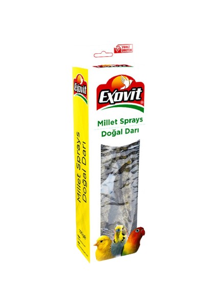 Doğal Dal Darı Kutu 100 gr
