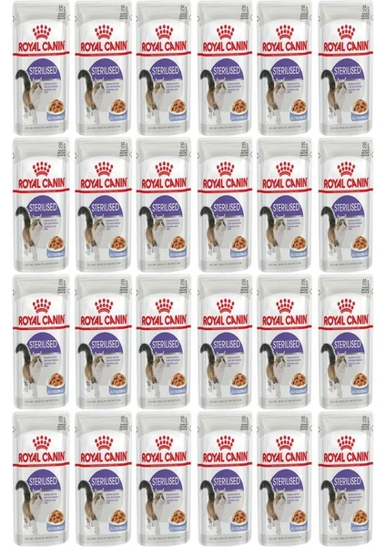 Royal Canin Jelly Sterilised Kısırlaştırılmış Yaş Kedi Maması 85 gr 24 Adet