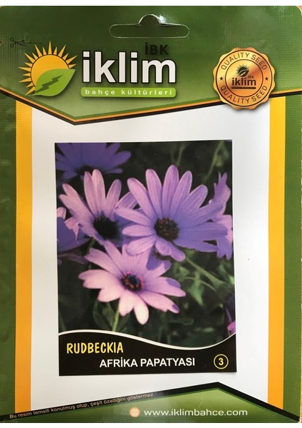 Afrika Papatyası Çiçeği Tohumu-3