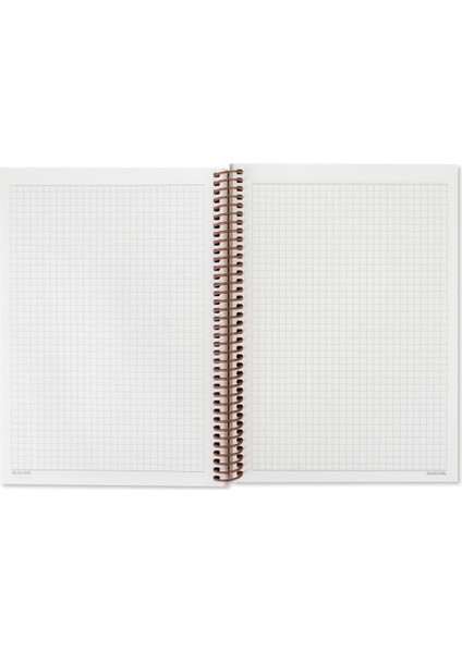 17X24 Kareli Defter La Plume Balloon - Mavi fiyatları