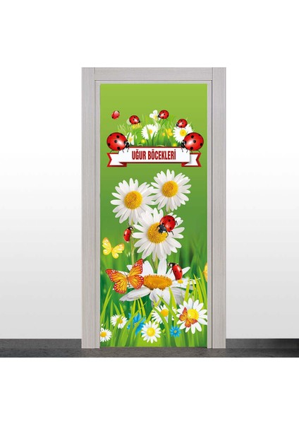 Uğur Böcekleri Sınıfı Kapı Giydirme