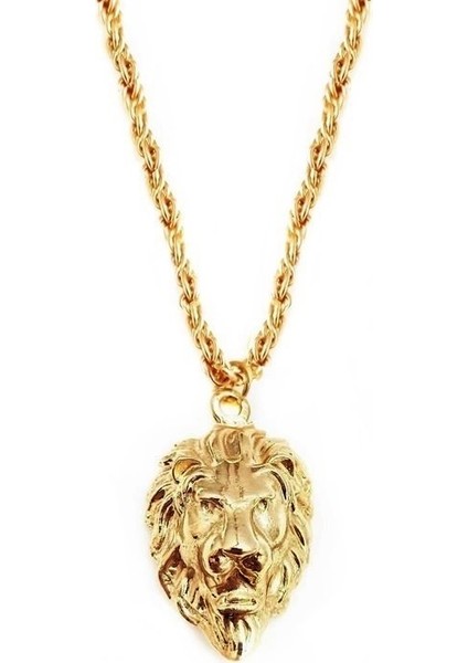 Aslan Başı Erkek Kolye