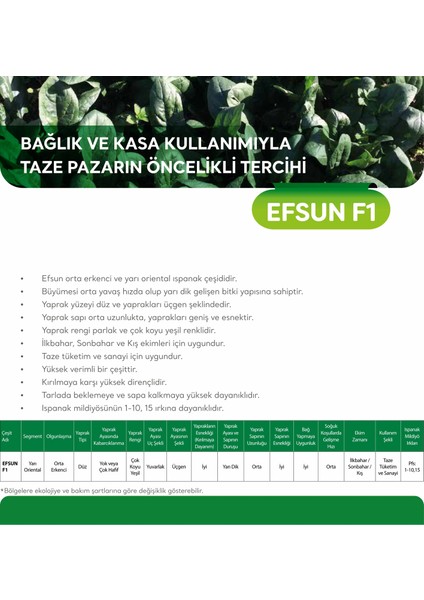 Efsun F1 Ispanak Tohumu 5 kg