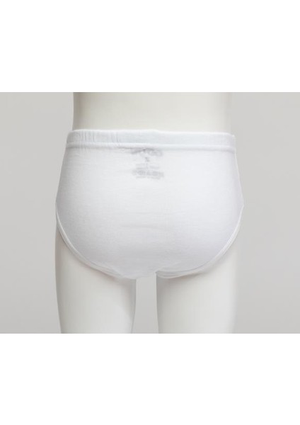 3002 Klasik 3 Lü Kız Çocuk Slip fiyatları