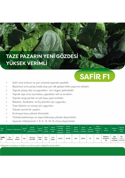 Safir F1 Ispanak Tohumu 5 kg