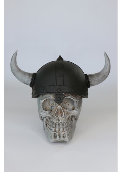 Viking Biblo