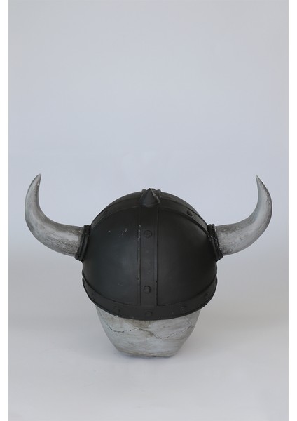 Viking Biblo