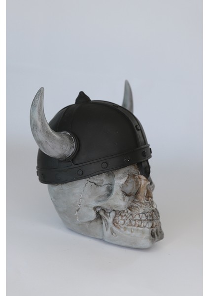 Viking Biblo