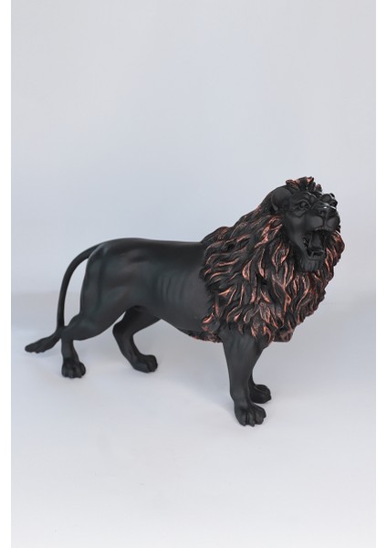 Aslan Biblo