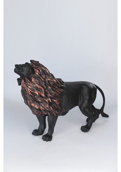 Aslan Biblo