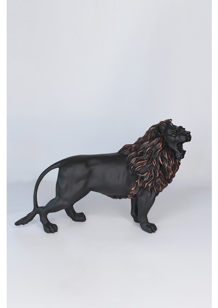 Aslan Biblo