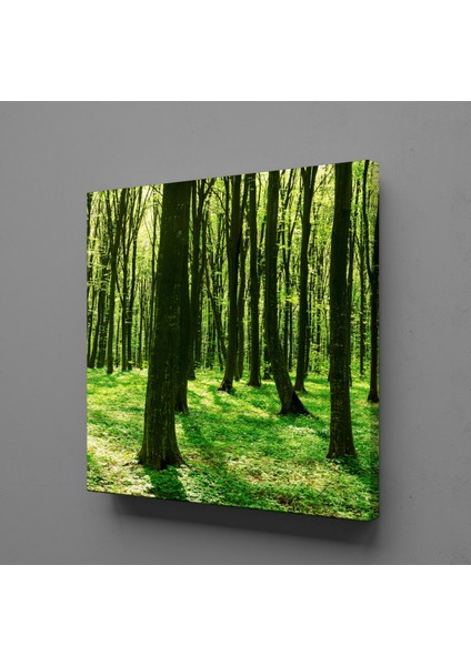 Orman 30 x 30 cm