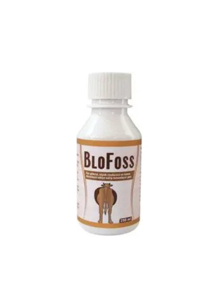 Blofoss Şurup 100ML