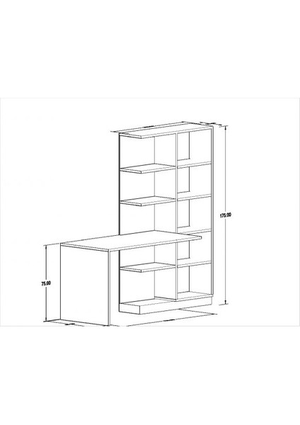 Narin Suntalam Kitaplıklı Kapaklı Raflı Çok Amaçlı Kullanıma Uygun Çalışma Masası