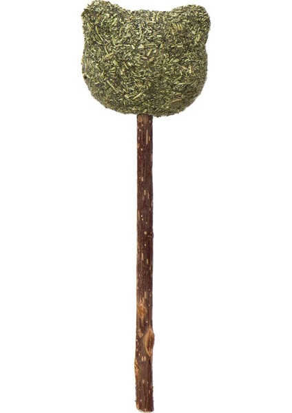 Matatabi Catnip Ayıcık Kedi Lolipop