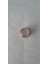 Magnifier S 1