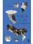 Mansfield Park - Jane Austen 1