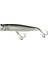 Salt Popper 85T Renk: Tarpon 1