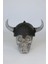Viking Biblo 1