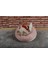 Sherpa Polar Yıkanabilir Yuvarlak Köpek Kedi Yatağı 60 cm Açık Pudra 3