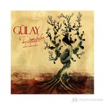 Gülay - Damlalar III