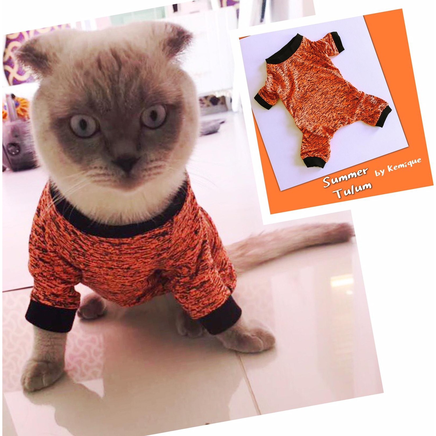 Awaken Nesir Yukari Kedi Kiyafetleri Tulum Taylordfitness Org