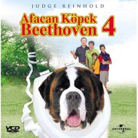 Afacan Kopek Beethoven 4 Beethoven S 4th Fiyati