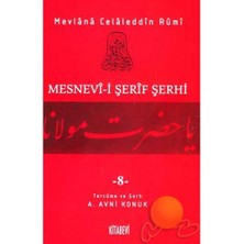 Mesnevi-i Şerif Şerhi - 8