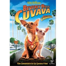 Beverly Hills Chuhuahua (Beverly Hills Çuvava)