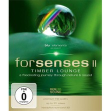 Forsenses II - Blu: Elements Project