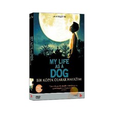 My Life As A Dog (Bir Köpek Olarak Hayatım)