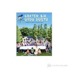 Gökten Bir Uydu Düştü (DVD)