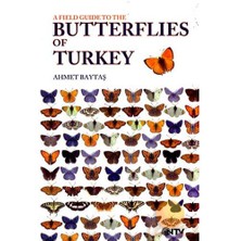 Butterflıes Of Turkey