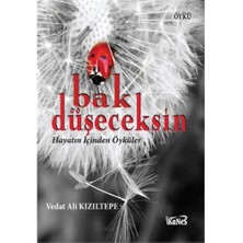 Bak Düşeceksin-Vedat Ali Kızıltepe