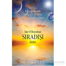 İşte O Boyuttan Sıradışı Şiirler-Gülay Perk