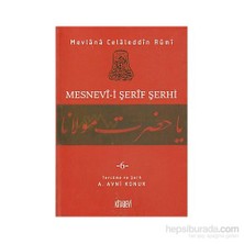 Mesnevi-İ Şerif Şerhi Cilt: 6