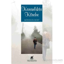 Karanlıkta Körebe